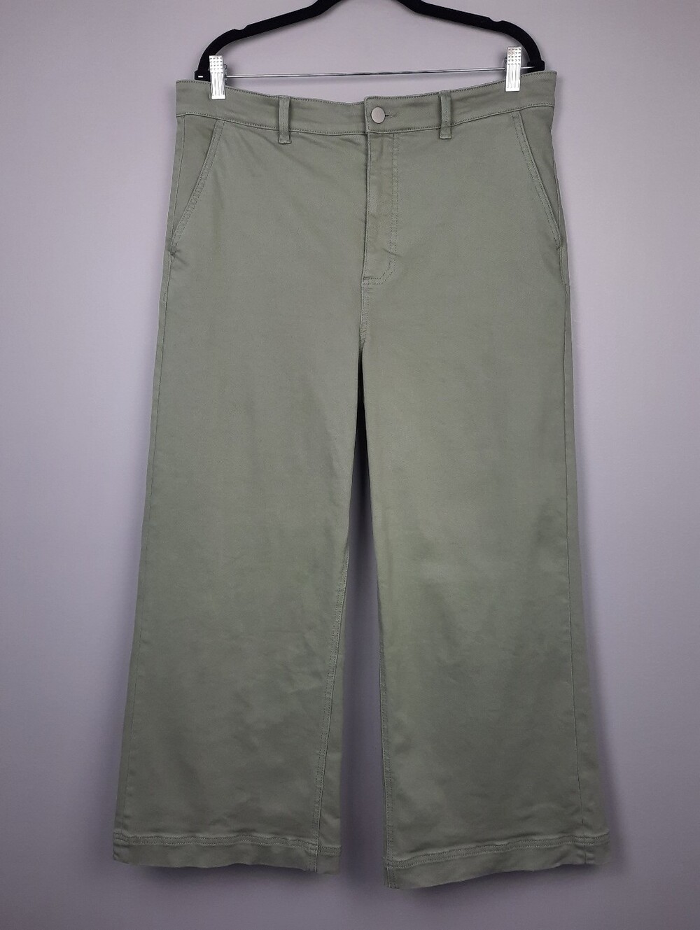 Everlane Sage Green High Rise Cropped Wide Leg Pants size 16